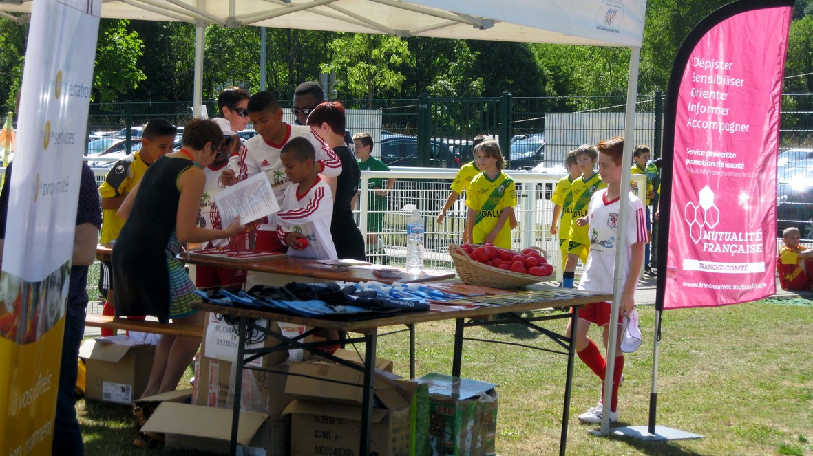 Stand amellis