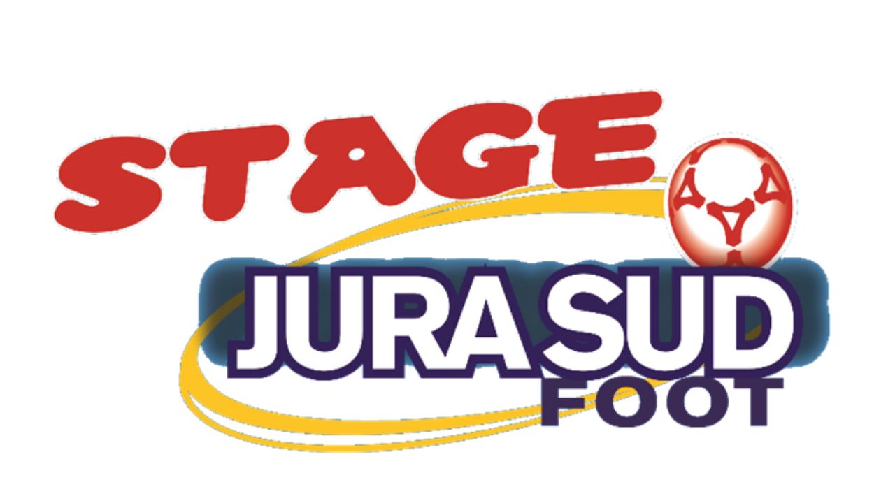Logo Stage ete 2020